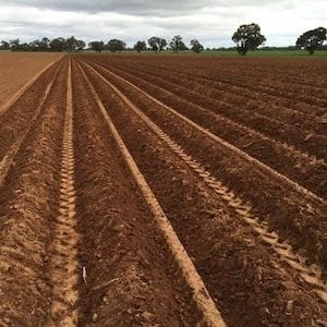 Primewest to sow seeds with $100 million investment plan for agriculture Primewest to sow seeds with $100 million investment plan for agriculture